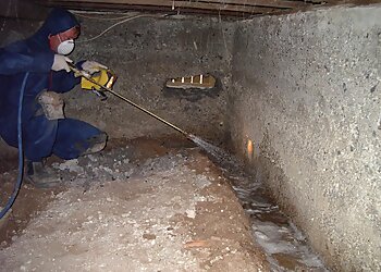 Micropest Pest Control Sydney