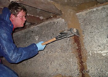 Micropest Pest Control Sydney