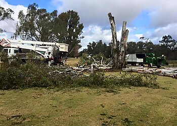 Mildura Tree Service