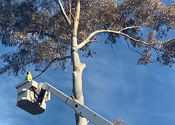 Mildura Tree Service