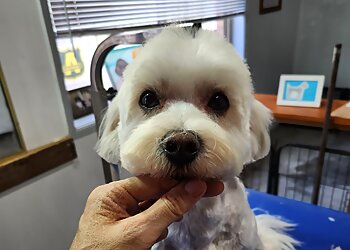Mon Chéri Dog Grooming