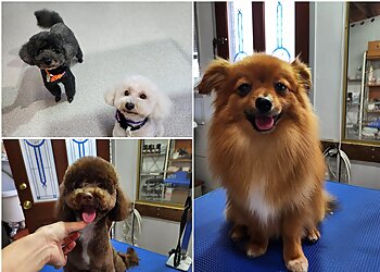 Mon Chéri Dog Grooming