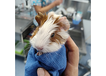 Mooroopna Veterinary Practice