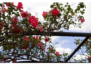 Morwell Centenary Rose Garden