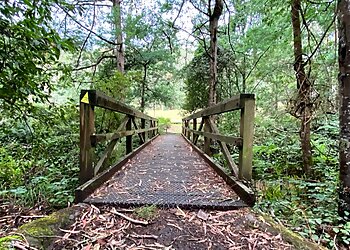 Morwell National Park