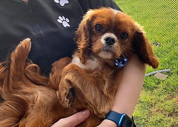 Moulin Pooch Grooming Lounge