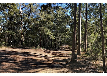 Mount Coot-Tha Forest