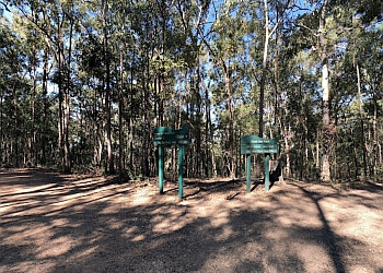 Mount Coot-Tha Forest