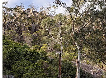 Mount Gibraltar Reserve