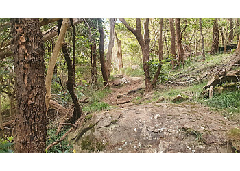 Mount Gibraltar Reserve