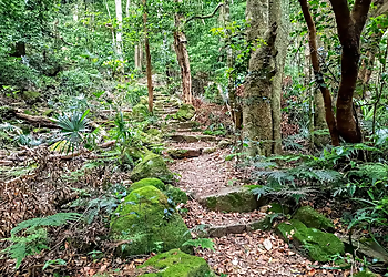 Mount Keira Ring track