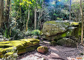 Mount Keira Ring track