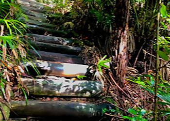 Mount Keira Ring track