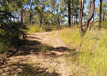 Mount Larcom Walking Trail