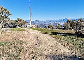 Mount Taylor Nature Reserve