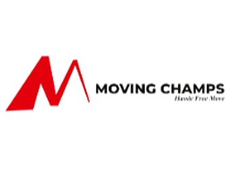 Alice Springs Removalists Moving Champs image 1