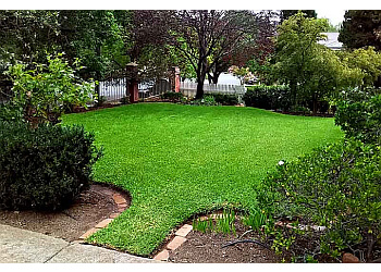 Mowing Down Under Tamworth