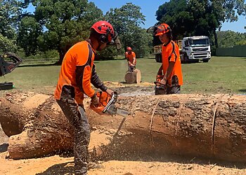 Murphy’s Tree and Stump Service
