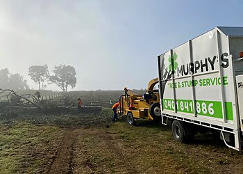 Murphy’s Tree and Stump Service