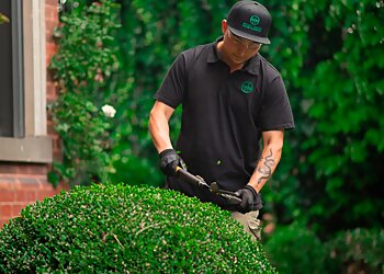 Must Have Maintenance