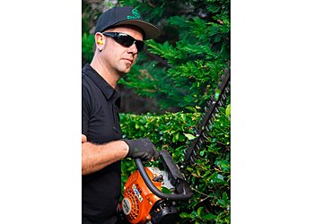 Must Have Maintenance