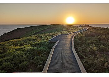 Muttonbird Island Nature Reserve