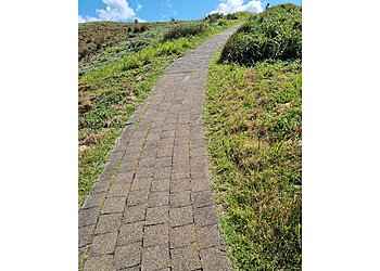 Muttonbird Island Nature Reserve