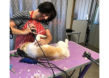 dog bunbury wa grooming inspection tbr report