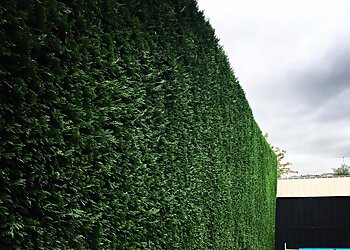 My Lawn And Landscape