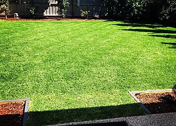 My Lawn And Landscape