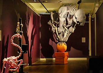 National Wool Museum