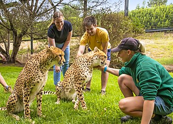 National Zoo & Aquarium