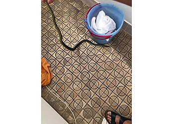 Native & Feral Pest Managment