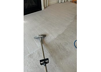 Network Carpet Cleaning