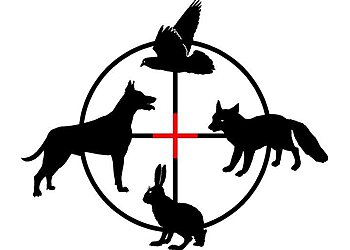 Newcastle & Hunter Valley Animal Control