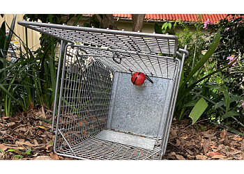 Newcastle Pest Control