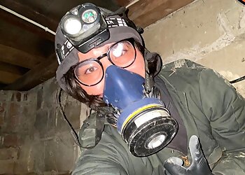 Newcastle Pest Exterminators