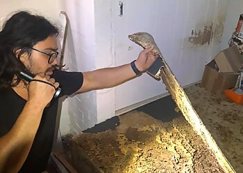 Newcastle Pest Exterminators