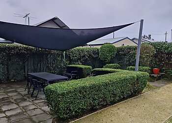 Newy Yard Maintenance