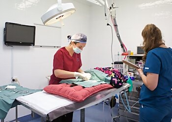 Nicklin Way Veterinary Surgery