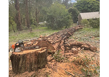 Normy's Tree Felling and Stump Grinding