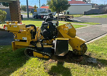Normy's Tree Felling and Stump Grinding