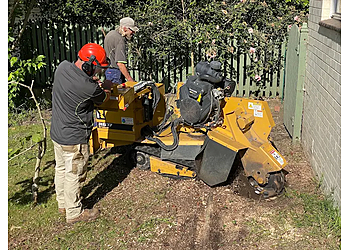 Normy's Tree Felling and Stump Grinding Normy's Tree Felling and Stump Grinding