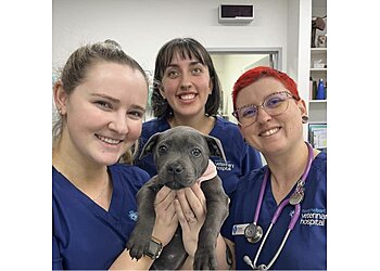 3 Best Veterinarians in Hobart, TAS - Expert Recommendations