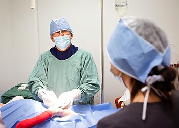 Northern Beaches Vet Hospital