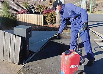 Northern Tas Pest Control