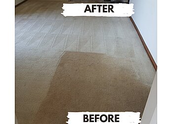 Not Just Steam Cleaning