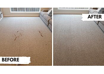 Not Just Steam Cleaning