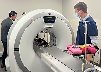 Nowra Veterinary Hospital