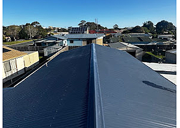 Nuggies Roofing & Plumbing